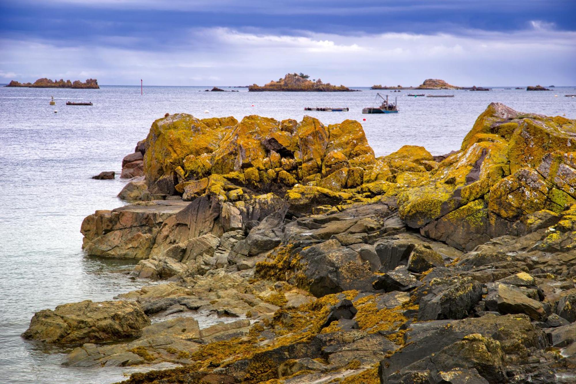 Gite Paimpol Le Loarwenn Esterno foto