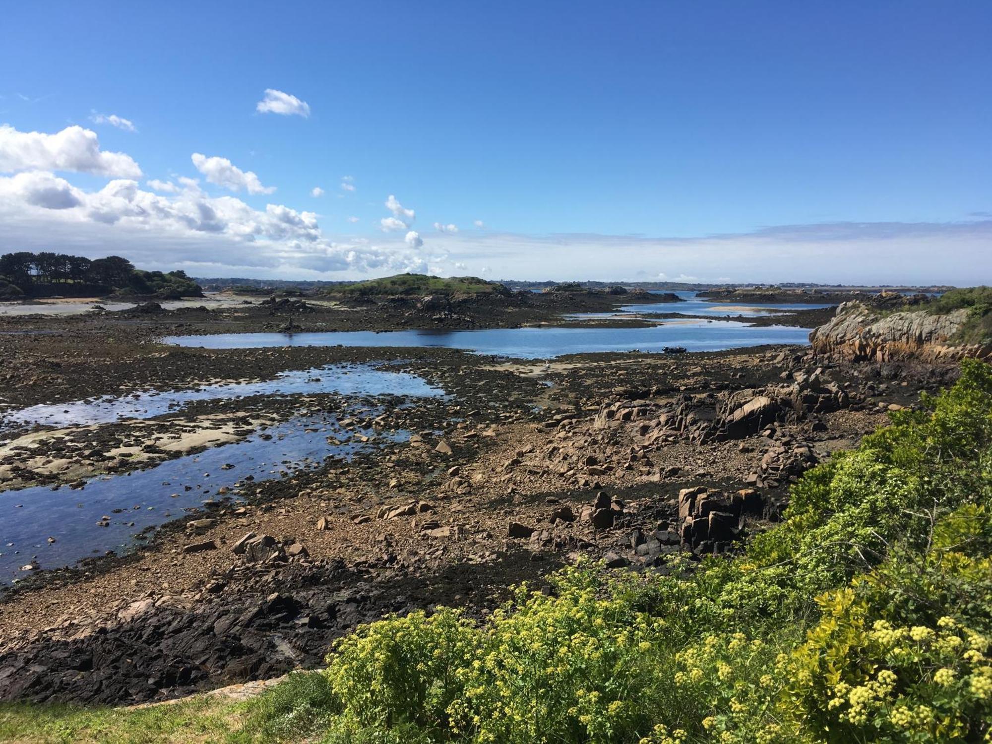 Gite Paimpol Le Loarwenn Esterno foto